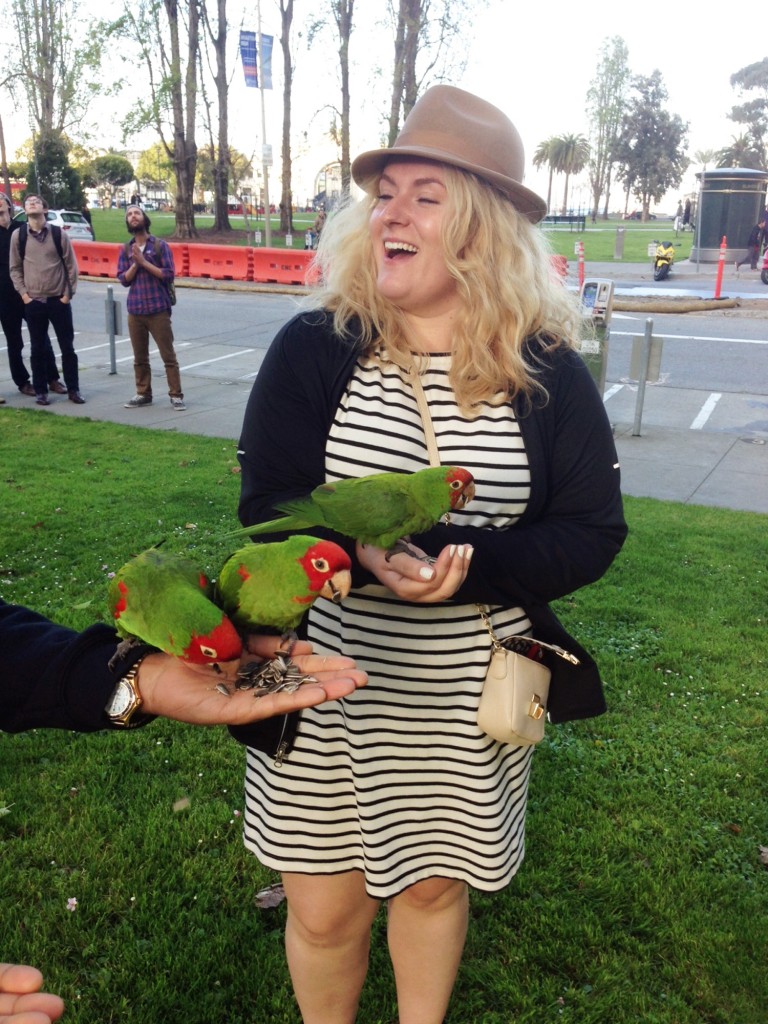 birds3