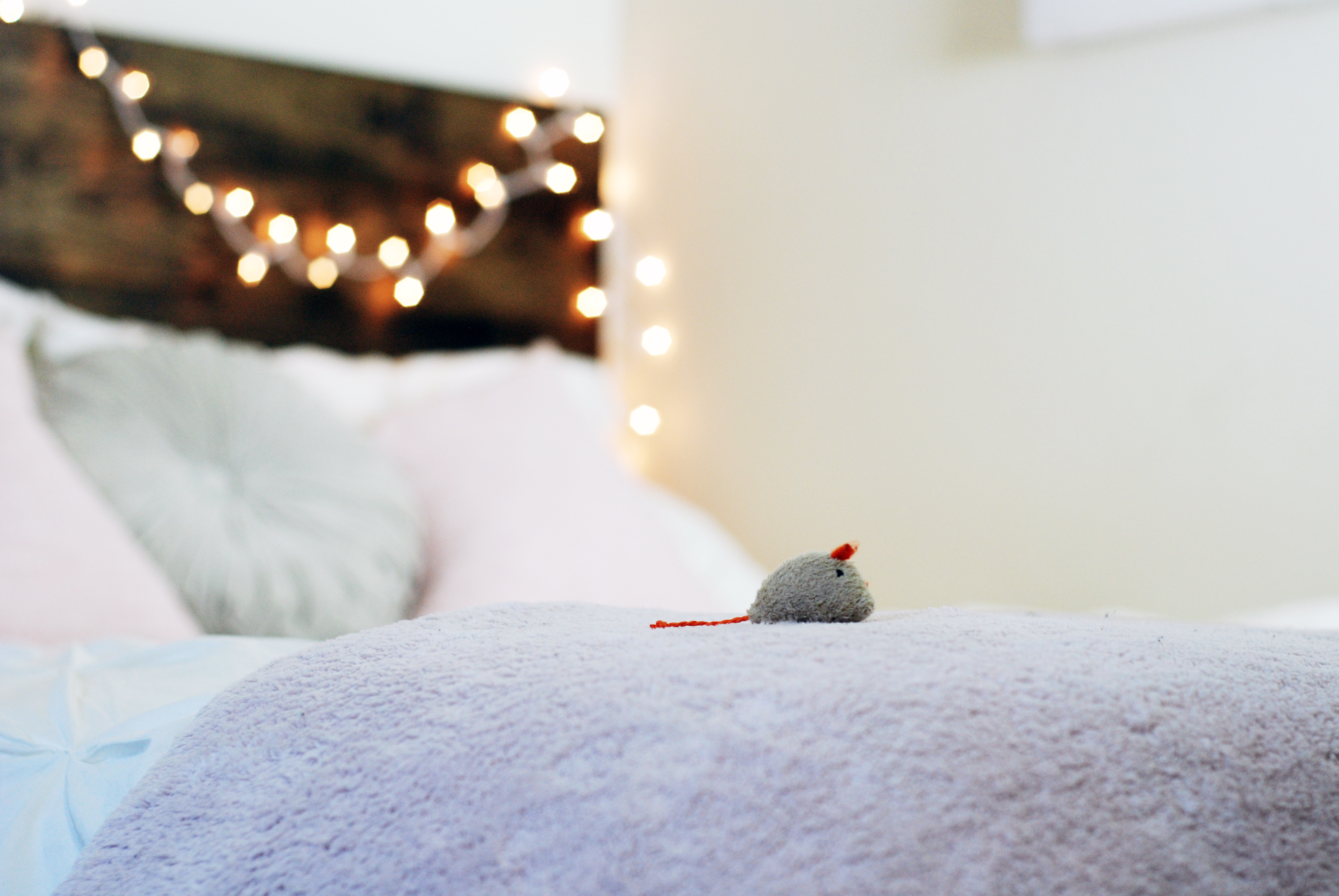 mouse
